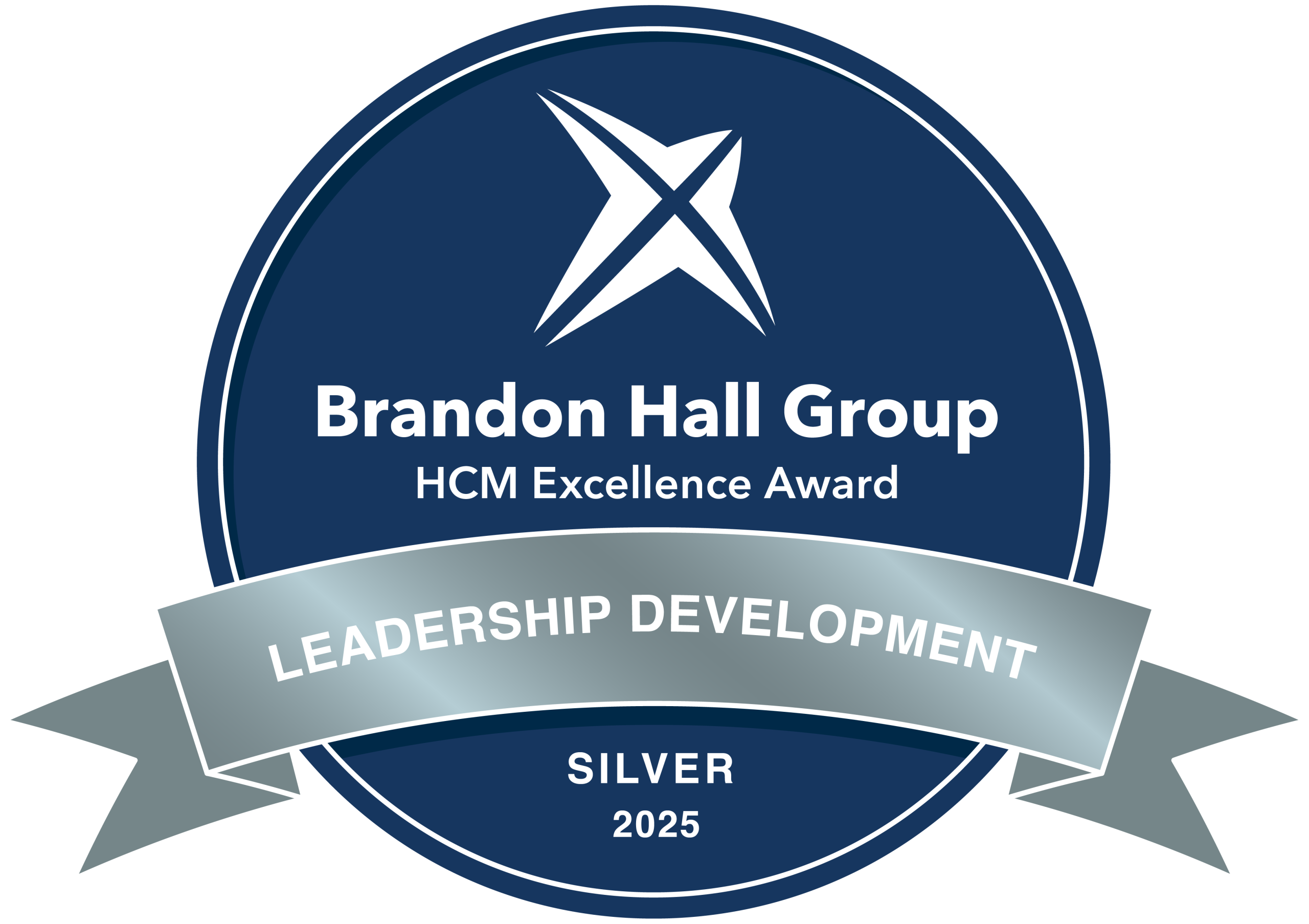 Brandon Hall Group Silver Award